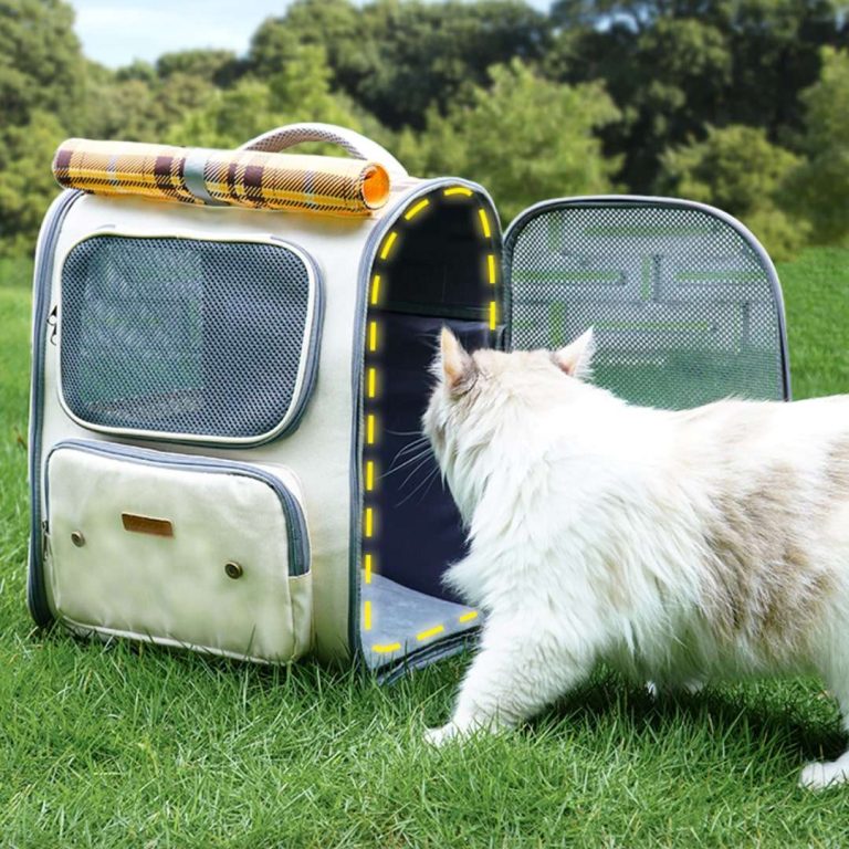 cat hiking backpack