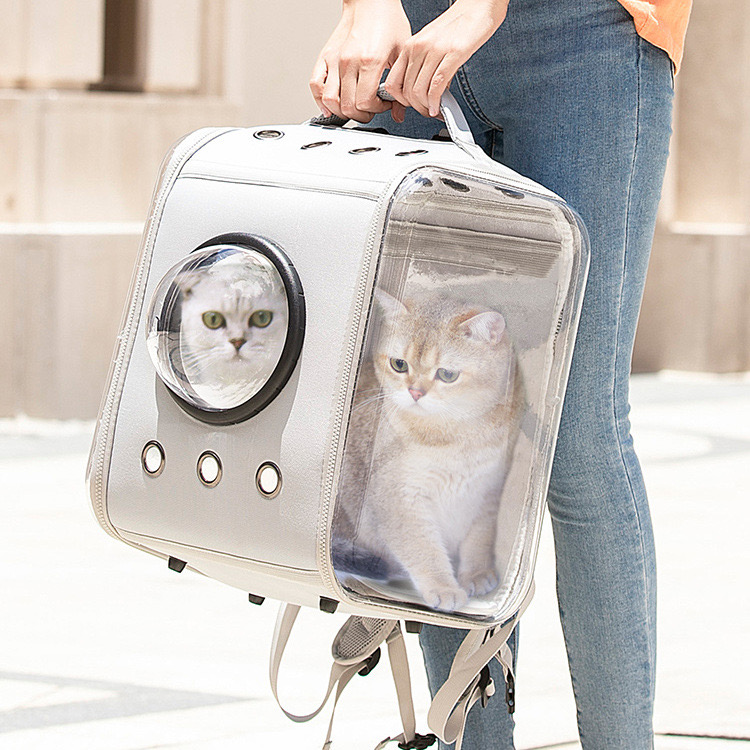 cat backpack