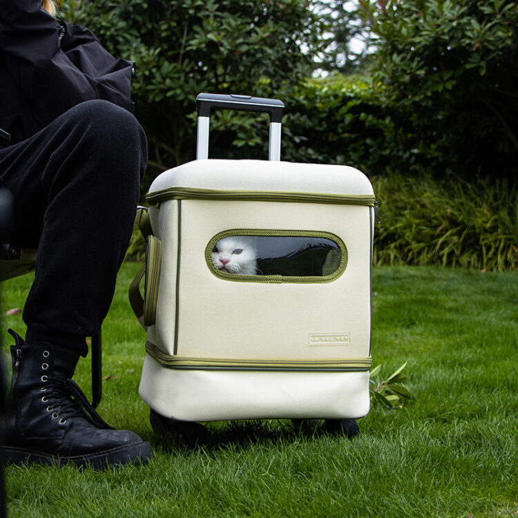 1100002852.jpg 1100002852.jpg