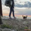26d0f6f08eb74eaeacc6ac172402bb7c.thumbnail.0000000000.jpg