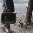 81f256bf5733416fb286b4d05d7af036.thumbnail.0000000000.jpg