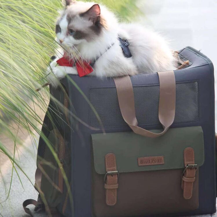 BluePortCatBackpacka.jpg BluePortCatBackpacka.jpg