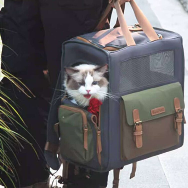 BluePortCatBackpackg.jpg BluePortCatBackpackg.jpg
