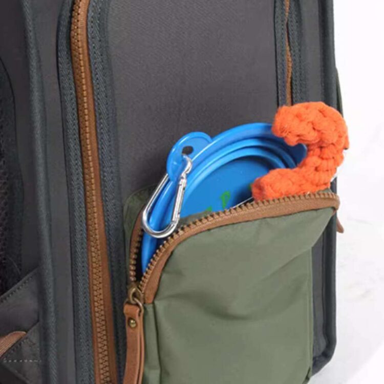 BluePortCatBackpackt.jpg BluePortCatBackpackt.jpg