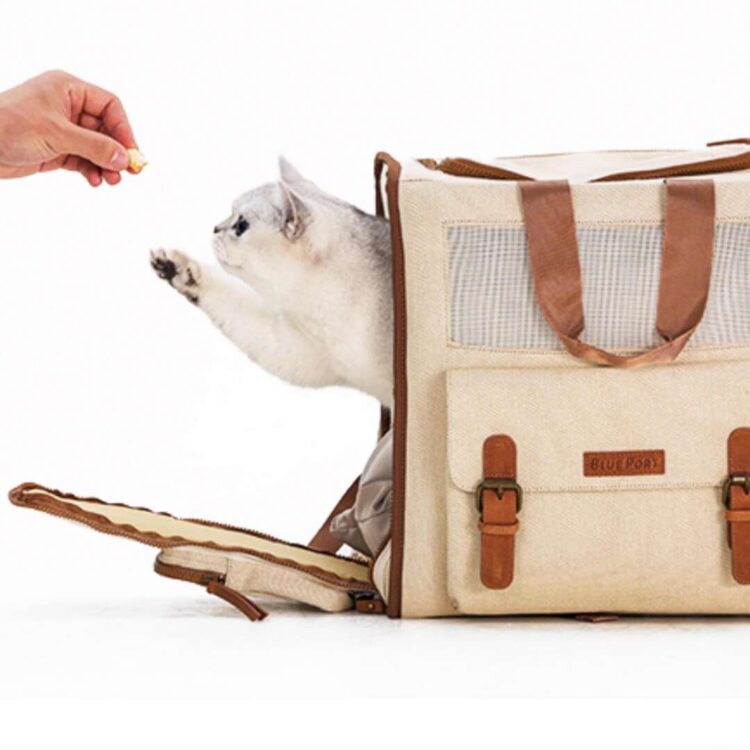 Blueport_Cat_Backpack_-_beige_c.jpg Blueport_Cat_Backpack_-_beige_c.jpg