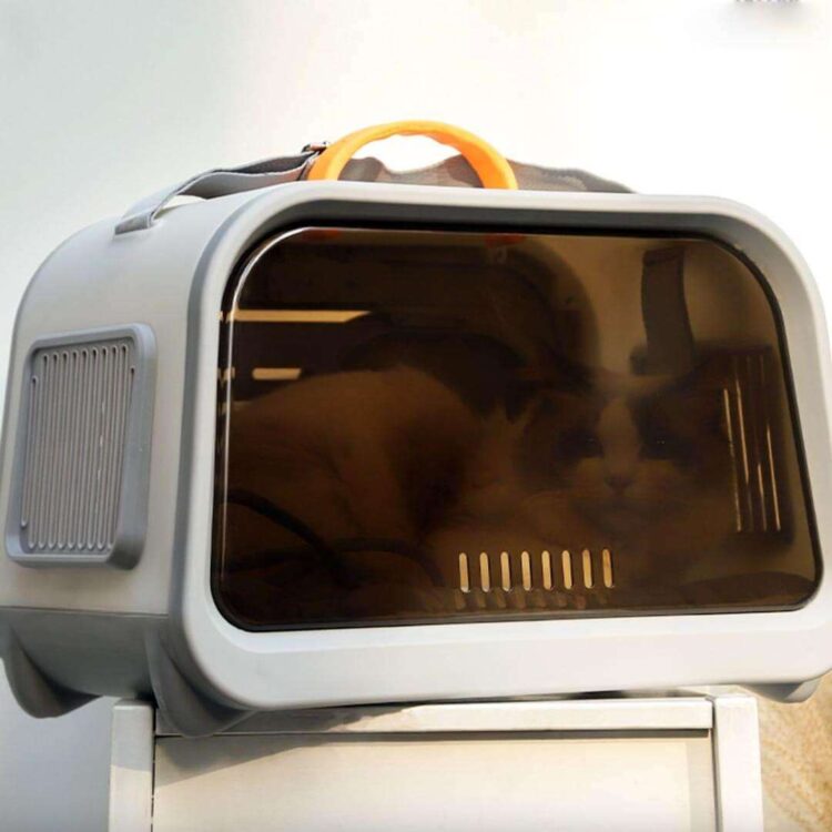 CastleCatCarrierm.jpg CastleCatCarrierm.jpg