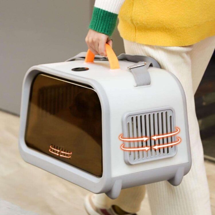 CastleCatCarriero.jpg CastleCatCarriero.jpg