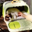 CastleCatCarrierr.jpg