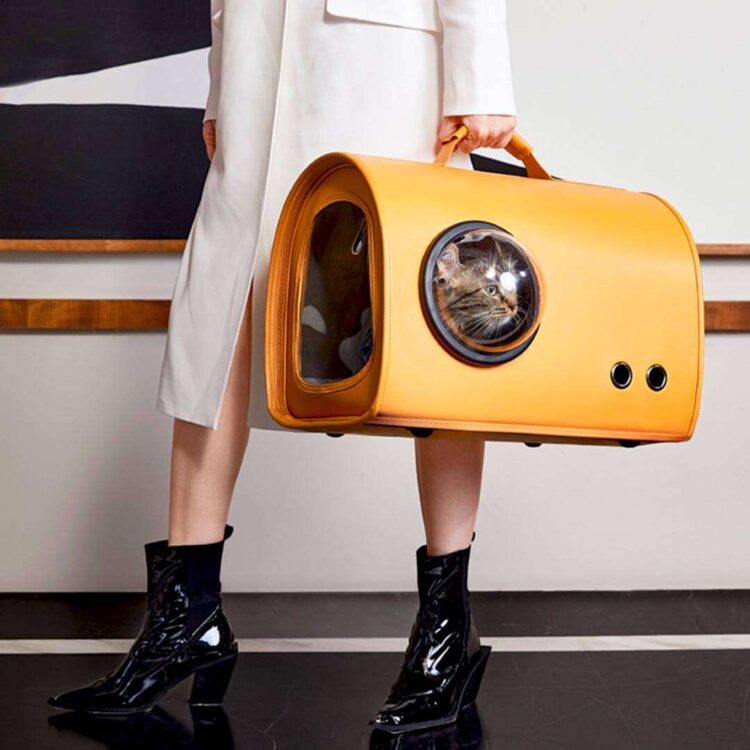 FancyPoupeeCatCarrierb.jpg FancyPoupeeCatCarrierb.jpg