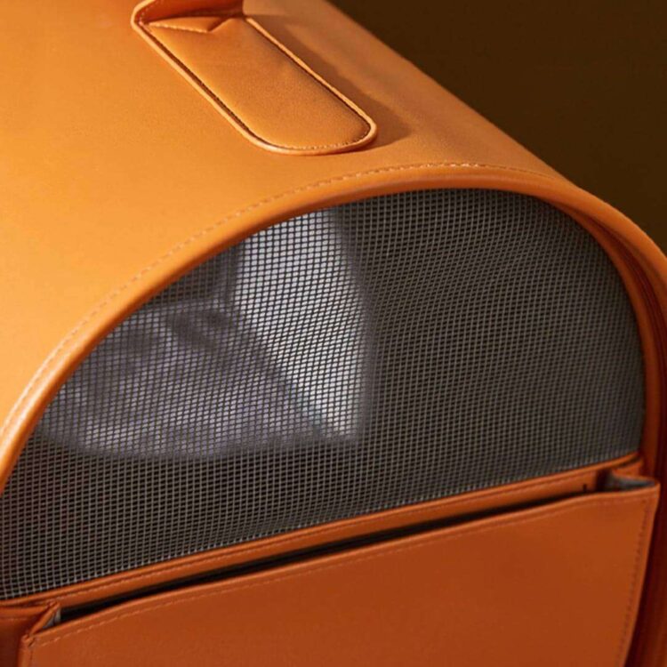 FancyPoupeeCatCarrierh.jpg FancyPoupeeCatCarrierh.jpg