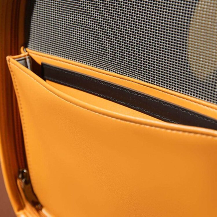 FancyPoupeeCatCarrieri.jpg FancyPoupeeCatCarrieri.jpg