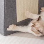 Foldable_Cat_House_with_Scratching_Board_gallery_02.webp