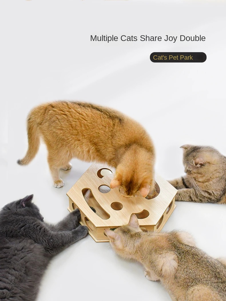 Interactive Cat Track Toy Set with Teaser Sticks