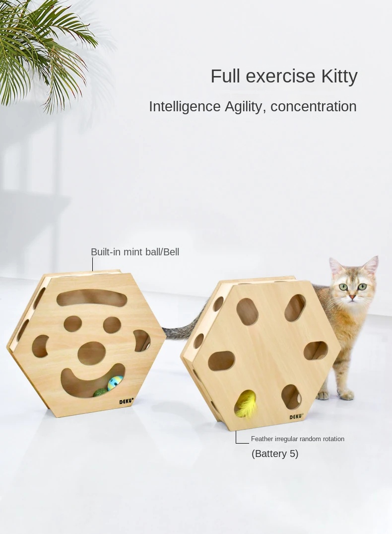 Interactive Cat Track Toy Set with Teaser Sticks