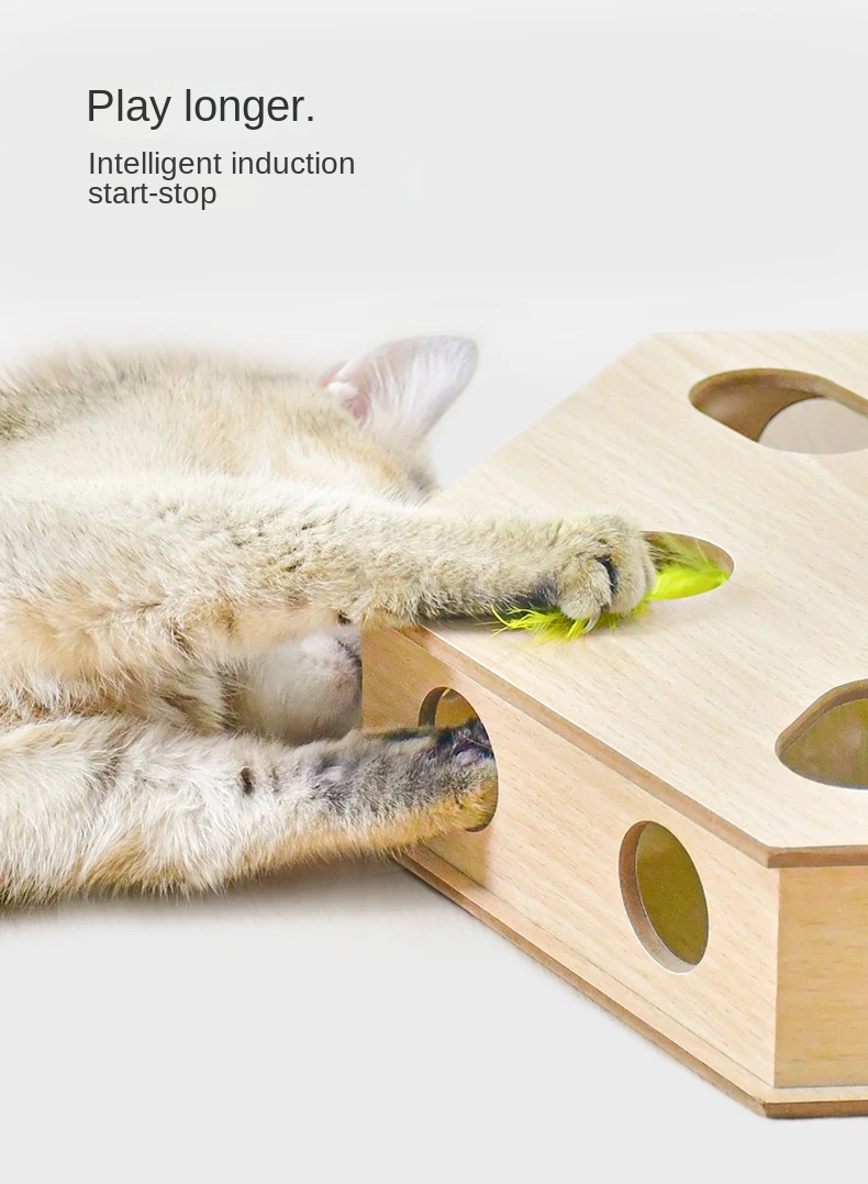 Interactive Cat Track Toy Set with Teaser Sticks