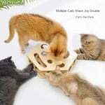 Interactive_Cat_Track_Toy_Set_with_Teaser_Sticks_gallery_02.webp