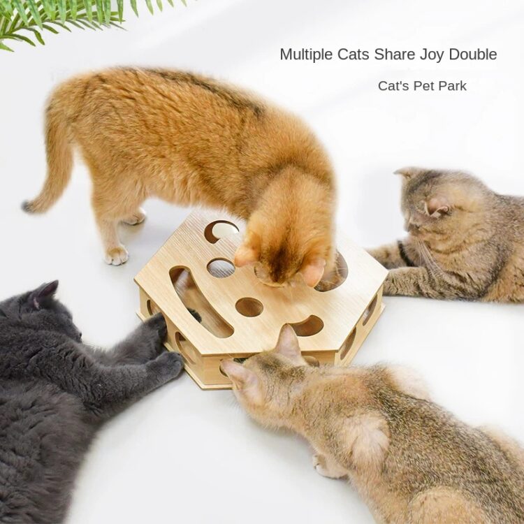 Interactive_Cat_Track_Toy_Set_with_Teaser_Sticks_gallery_02 Interactive_Cat_Track_Toy_Set_with_Teaser_Sticks_gallery_02.webp