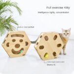 Interactive_Cat_Track_Toy_Set_with_Teaser_Sticks_gallery_03.webp