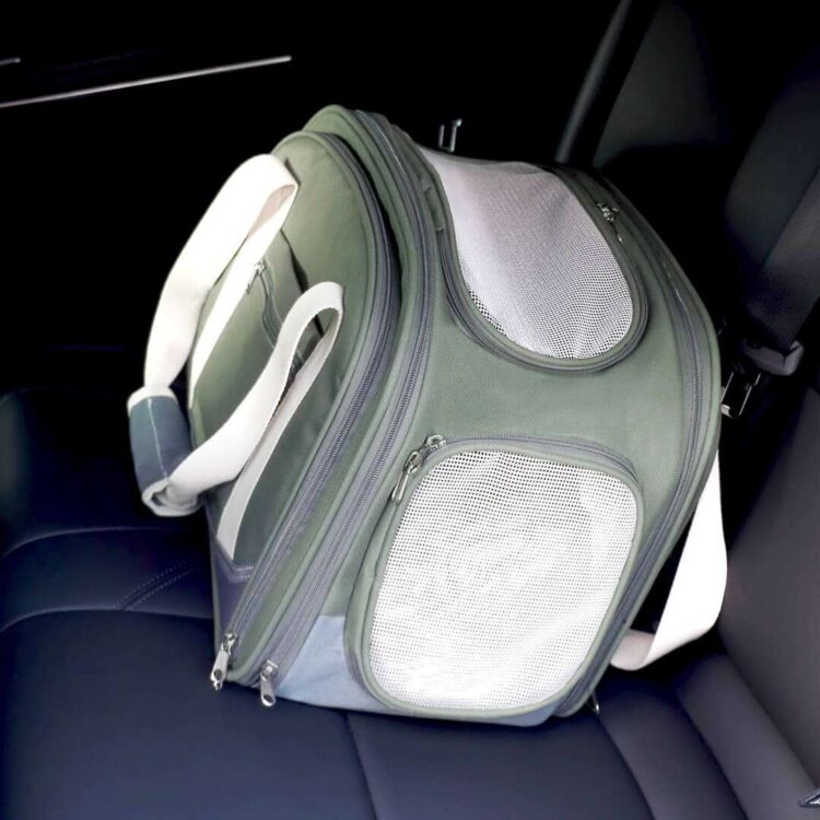 KittyChicExpandableCatCarriere.jpg KittyChicExpandableCatCarriere.jpg