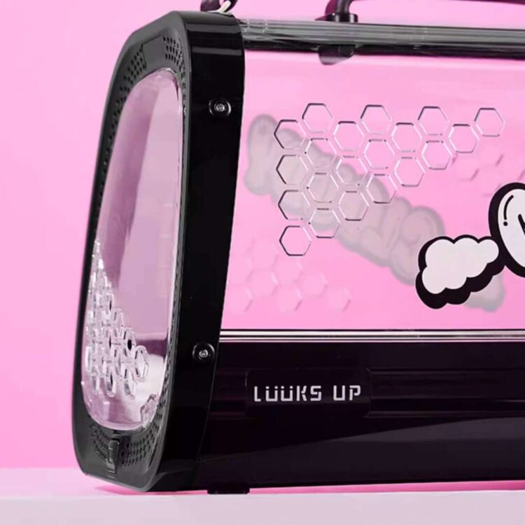 KittyMoMoCatCarrierb.jpg KittyMoMoCatCarrierb.jpg