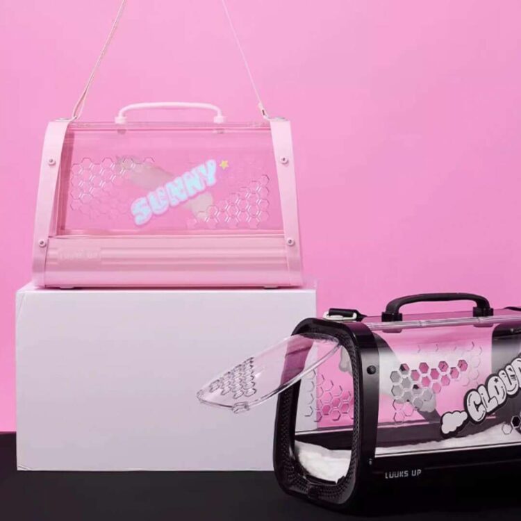 KittyMoMoCatCarriere.jpg KittyMoMoCatCarriere.jpg