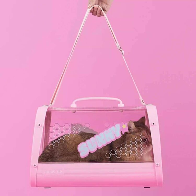 KittyMoMoPinkCatCarrierc.jpg KittyMoMoPinkCatCarrierc.jpg