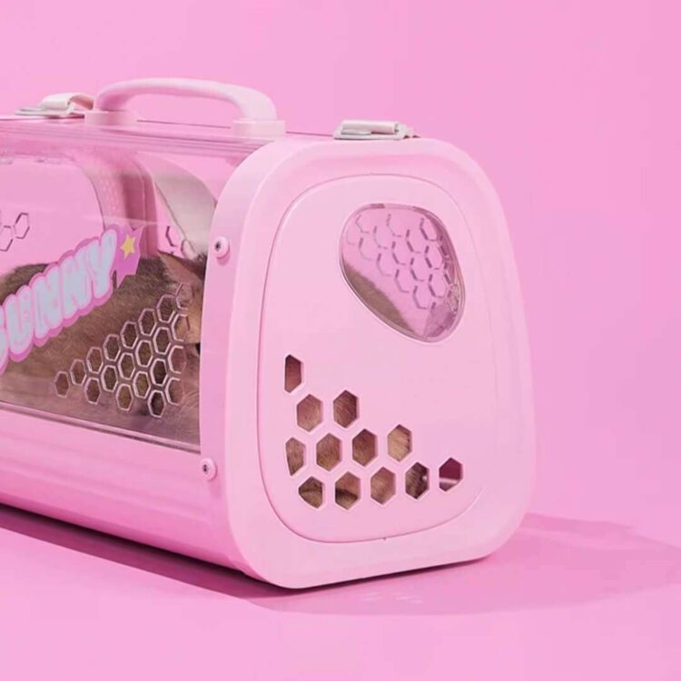 KittyMoMoPinkCatCarrierg.jpg KittyMoMoPinkCatCarrierg.jpg