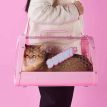 KittyMoMoPinkCatCarrierj.jpg