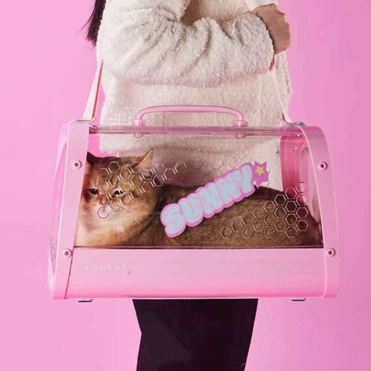 KittyMoMoPinkCatCarrierj.jpg KittyMoMoPinkCatCarrierj.jpg