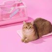 KittyMoMoPinkCatCarrierm.jpg