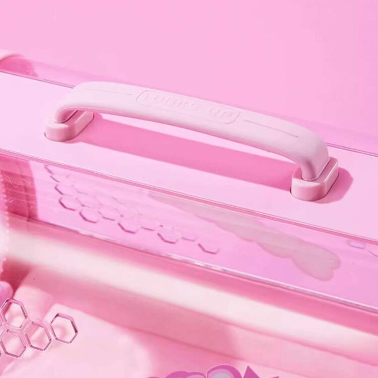 KittyMoMoPinkCatCarriern.jpg KittyMoMoPinkCatCarriern.jpg