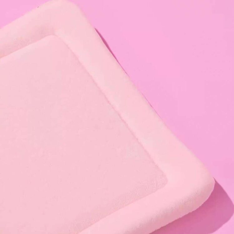 KittyMoMoPinkCatCarriero.jpg KittyMoMoPinkCatCarriero.jpg