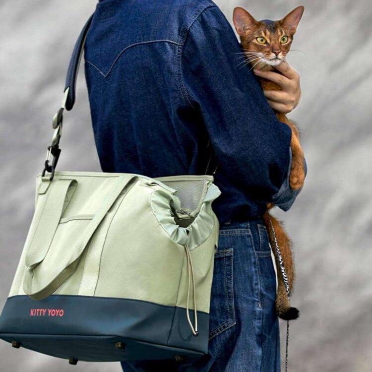 KittyYoYoCatCarriera.jpg KittyYoYoCatCarriera.jpg