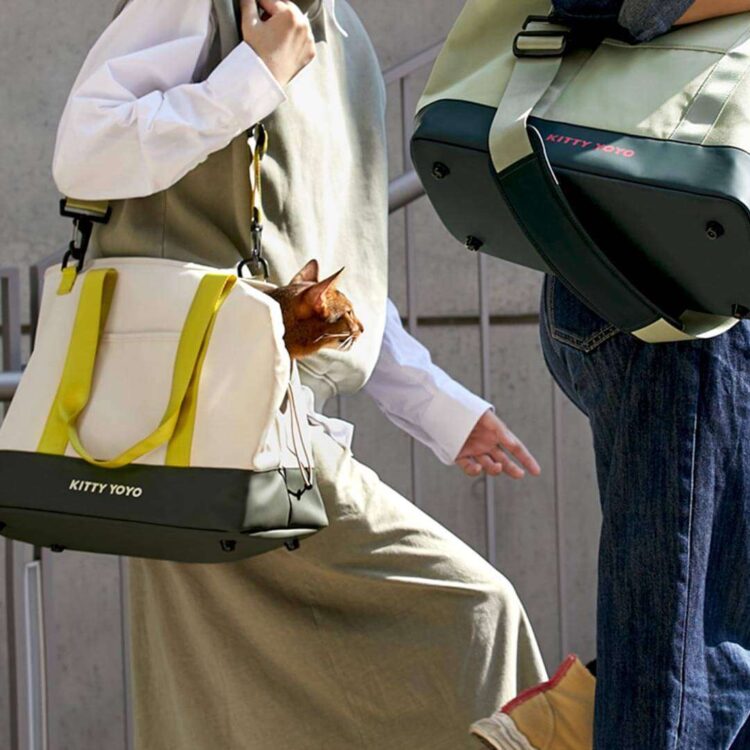 KittyYoYoCatCarrierd.jpg KittyYoYoCatCarrierd.jpg