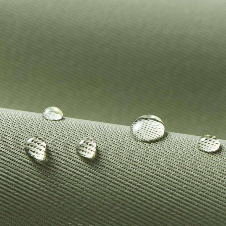 KittyYoYoCatCarriere.jpg KittyYoYoCatCarriere.jpg