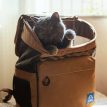 MeowMobileCatBackpackd.jpg