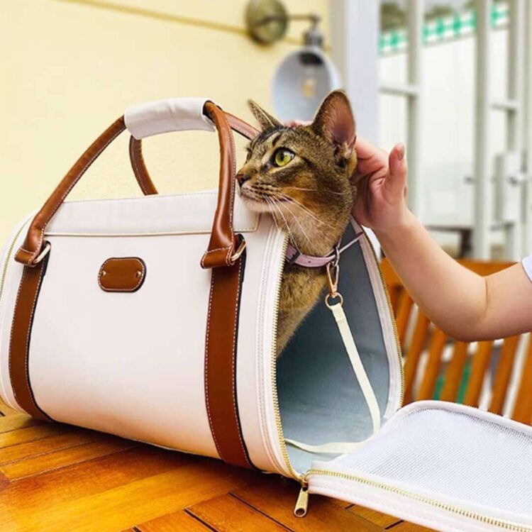MewmosaDuffleCatBagd.jpg MewmosaDuffleCatBagd.jpg