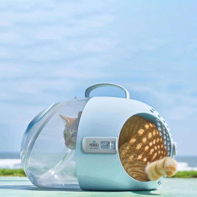 MoboliCapsuleCatCarriere.jpg MoboliCapsuleCatCarriere.jpg