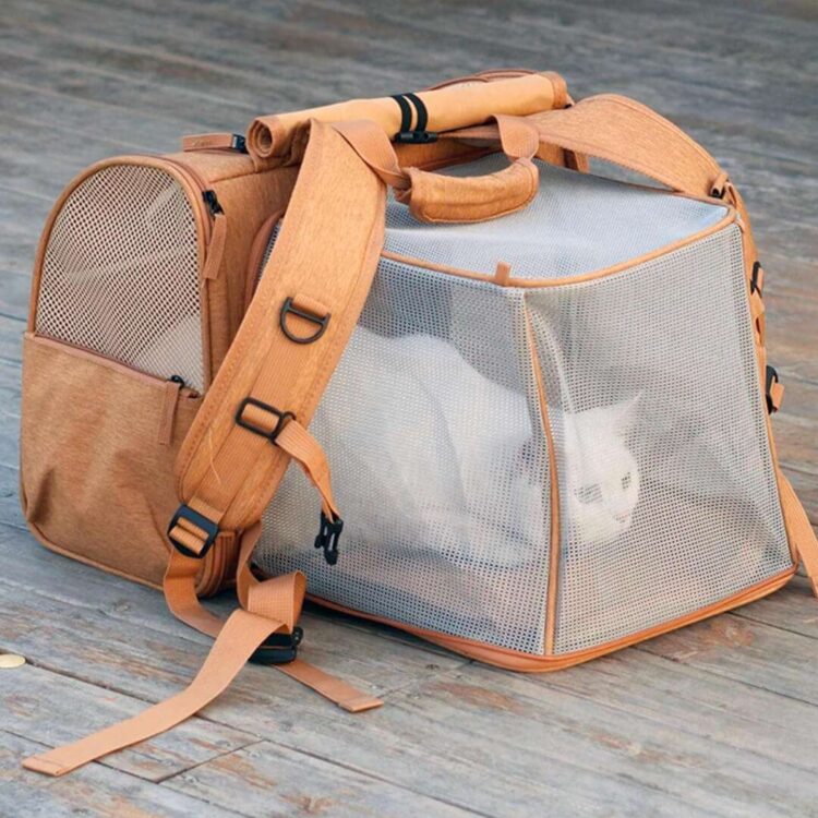 MochaExpandableCatBackpacka.jpg MochaExpandableCatBackpacka.jpg