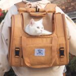 MochaExpandableCatBackpackc.jpg