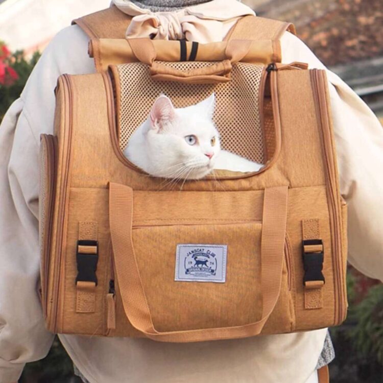 MochaExpandableCatBackpackc.jpg MochaExpandableCatBackpackc.jpg