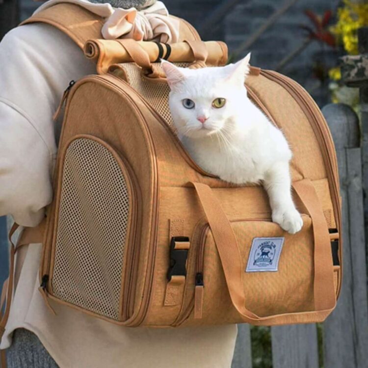 MochaExpandableCatBackpackh.jpg MochaExpandableCatBackpackh.jpg