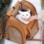 MochaExpandableCatBackpackj.jpg