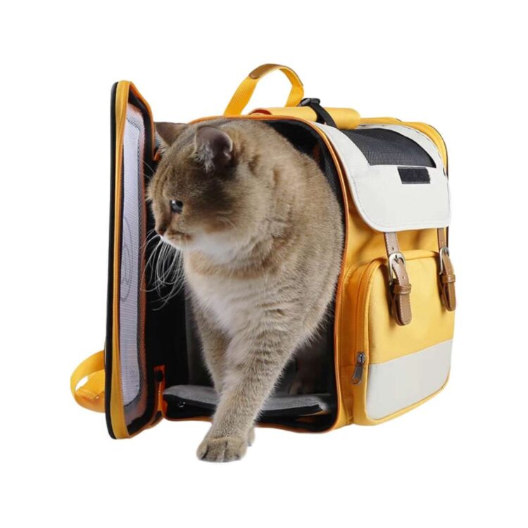 PawVoyagerExpandableCatBackpackc.jpg PawVoyagerExpandableCatBackpackc.jpg