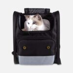 PawVoyagerExpandableCatBackpackg.jpg