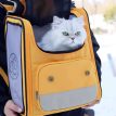 PawVoyagerExpandableCatBackpackj.jpg