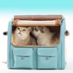 PawsHolicCatBackpackfor2cats.jpg