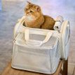 PetdiAirline-ApprovedCatCarrierb.jpg