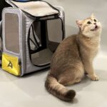 PetkitExpandableCatBackpack.jpg