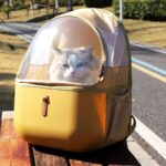PetseekTravelCatBackpackd.jpg